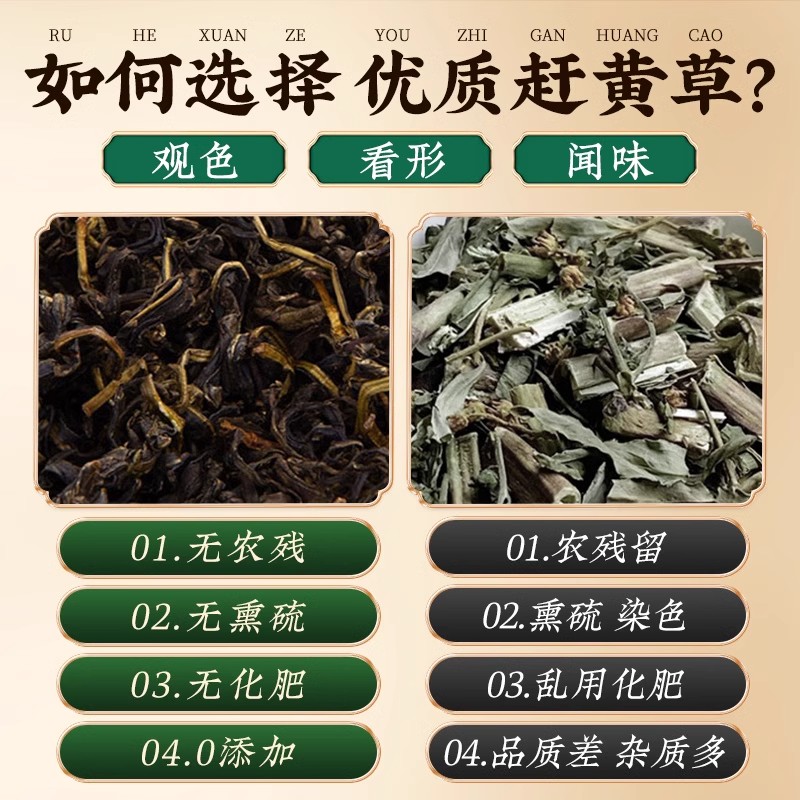 北京同仁堂内廷上用赶黄草50g/瓶