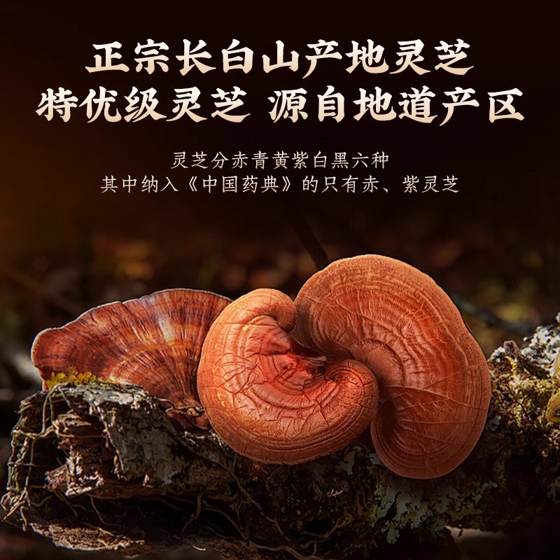 北京同仁堂怡福寿灵芝片250g/盒